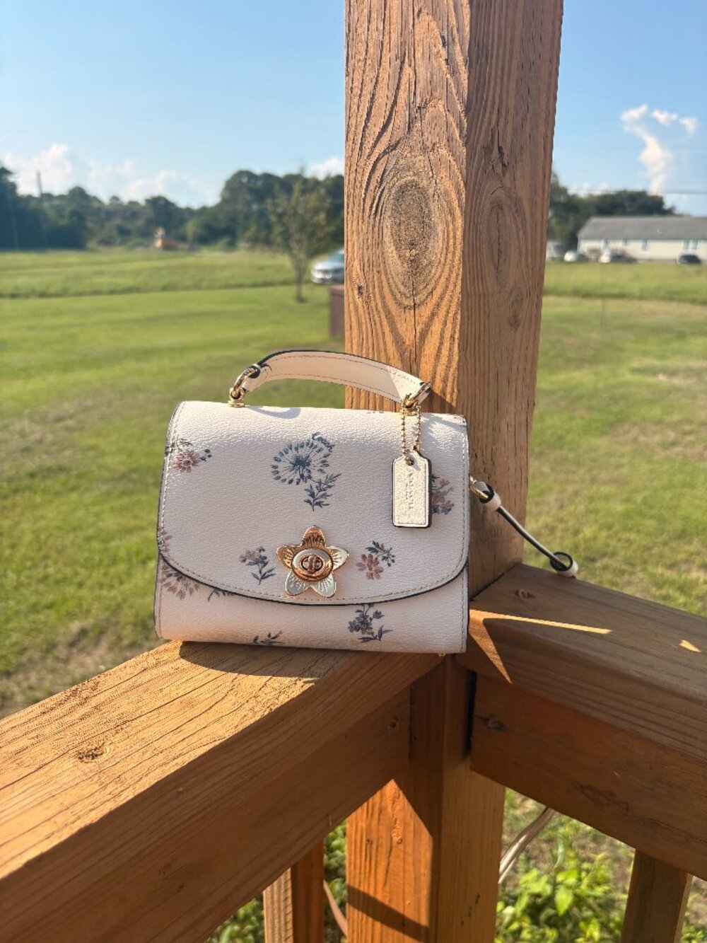 Floral Chalk Dandelion Micro Tilly Crossbody Bag by Coach